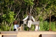 SandraRegier_2011-Narcisse_0081.jpg