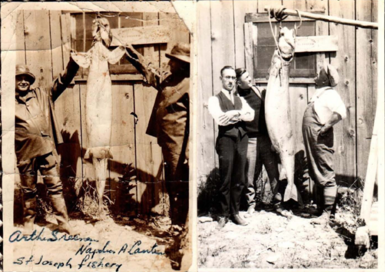 Harry Hess, Poss Johnston, Arthur Sreenan